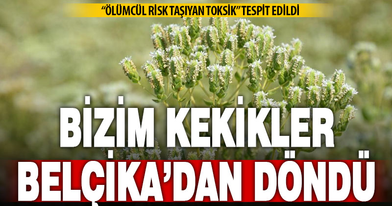 Belçika, “ölümcül riskli” gördüğü kekikleri iade etti