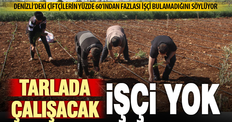 Denizli’de çiftçilerin yüzde 60,4’ü işçi bulamıyor