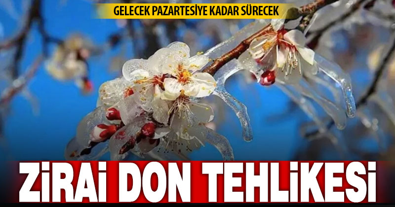 Soğuyan hava ile birlikte bir hafta boyunca zirai don yaşanacak