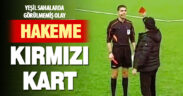 Kulüp yöneticisi kendisine kırmızı kart gösteren hakeme kırmızı kartla karşılık verdi