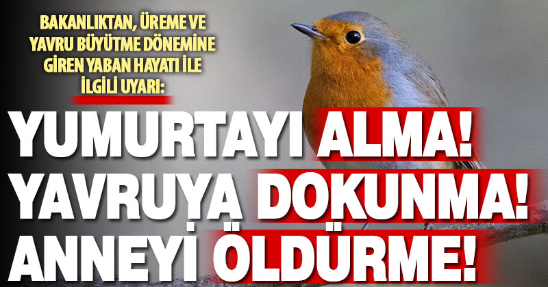 Av yasağı başladı, bakanlık herkesi uyardı