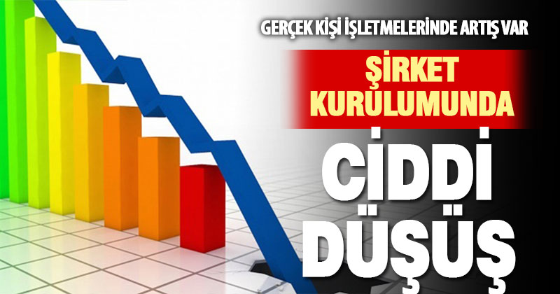 Kurulan şirket sayısında yıllık yüzde 8,7 azalış oldu