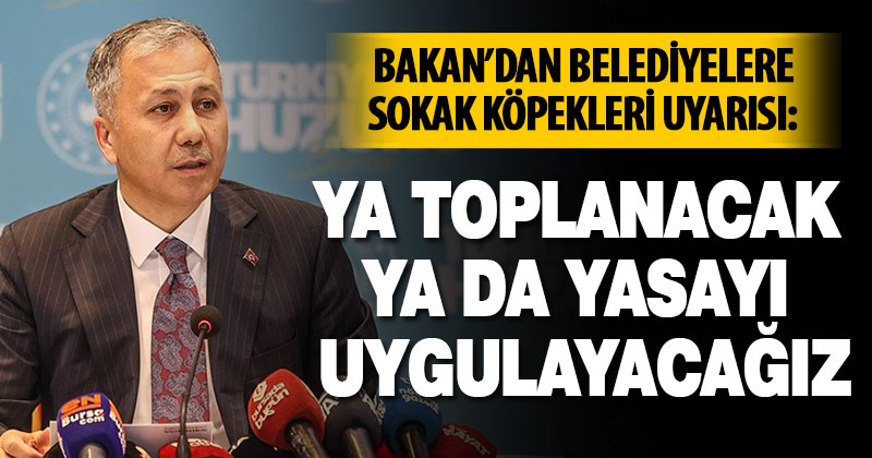 Bakan’dan belediyelere sokak köpeği uyarısı