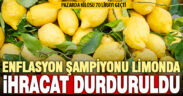 Ticaret Bakanlığı limon ihracatını durdurdu