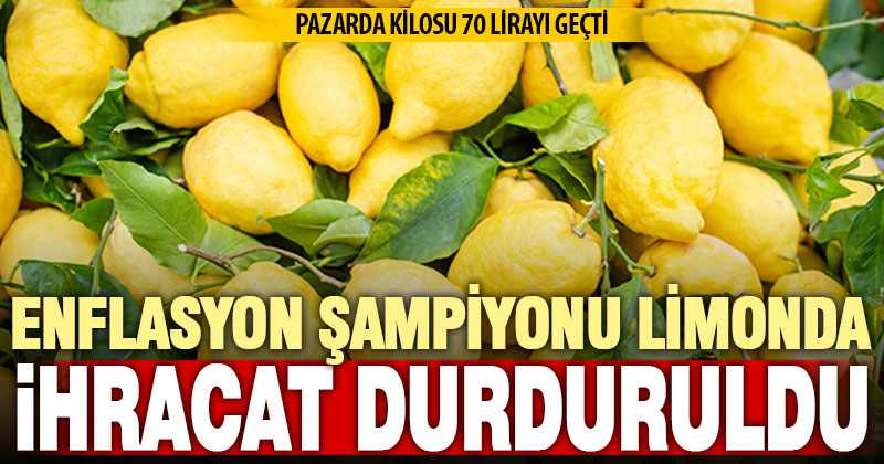 Ticaret Bakanlığı limon ihracatını durdurdu