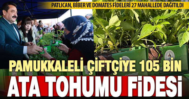 Pamukkale Belediyesi çiftçiye 105 bin adet ata tohumu fidesi dağıttı