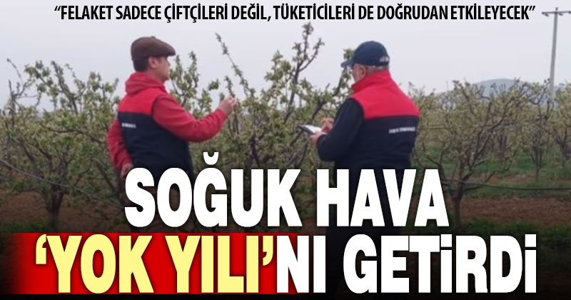 Don nedeniyle bu yıl “yok yılı” yaşanabilir