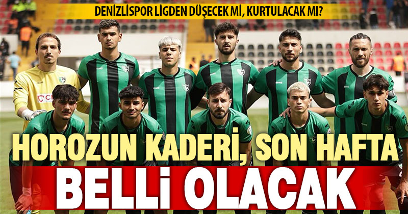 Denizlispor ligde kalma umudunu son haftaya ve rakiplerinin ellerine bıraktı