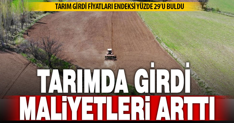 Tarım-GFE yıllık yüzde 28,92 arttı