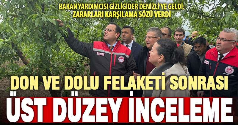 Bakan Yardımcısı Gizligider, Denizli’de zirai dondan etkilenen tarımsal alanları inceledi