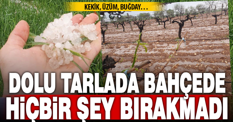 Güneyli çiftçilerin umudu başka bahara kaldı