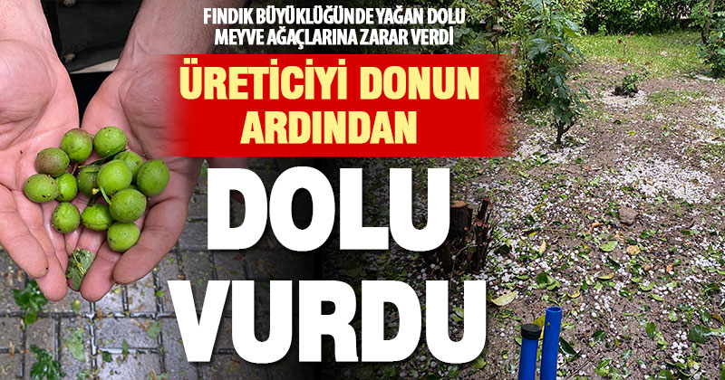 Üreticiyi donun ardından dolu vurdu