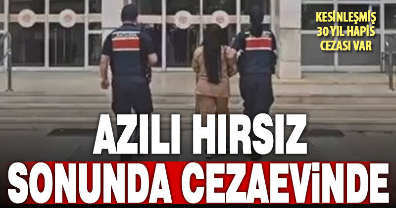 Hırsızlıktan 30 yıl hapis cezasıyla aranan azılı hırsız yakalandı