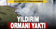 Yıldırım düşmesi sonucu çıkan orman yangını büyümeden söndürüldü