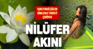 Çivril Işıklı’daki nilüferlerin görsel şöleni yerli ve yabancı turistlerin ilgi odağı oldu