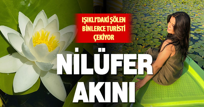 Çivril Işıklı’daki nilüferlerin görsel şöleni yerli ve yabancı turistlerin ilgi odağı oldu