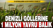 Denizli’de göl ve göletlere 1 milyon sazan yavrusu bırakıldı