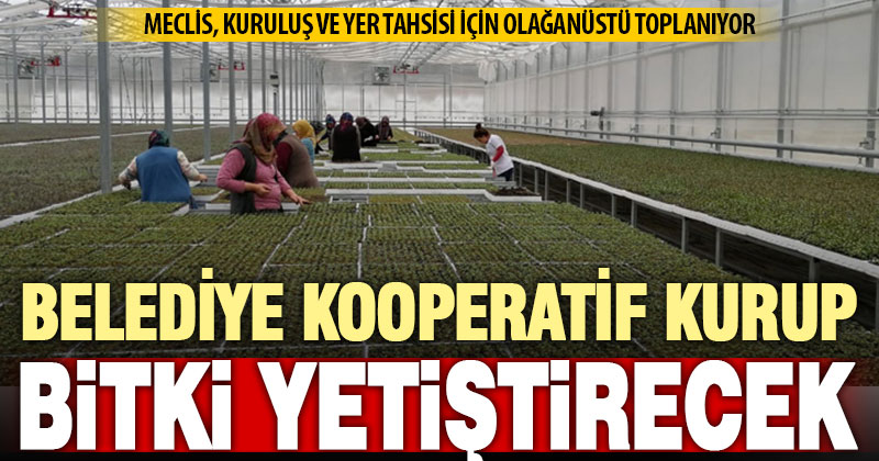 Pamukkale’de 26 bin metrekare alanda aromatik bitki yetiştirilecek