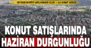 Konut satışları haziranda düştü