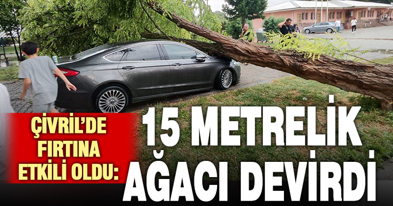 Çivril’de fırtına 15 metrelik ağacı devirdi