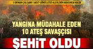 Orman yangınına müdahale eden 10 ateş savaşçısı şehit oldu