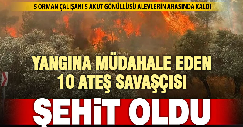 Orman yangınına müdahale eden 10 ateş savaşçısı şehit oldu