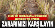 Ürünü kuruyan çiftçiden Denizli Büyükşehir Belediyesi’ne çağrı: “DESKİ zararımızı karşılasın”