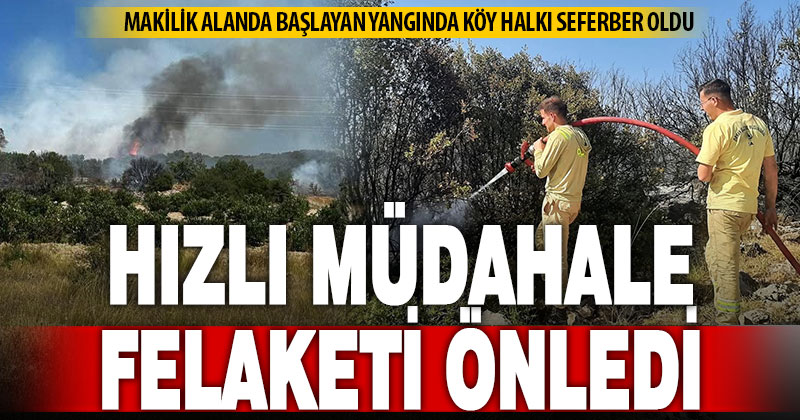 Çal Ortaköy’deki yangın, köylülerin hızlı müdahalesiyle ormana sıçramadan söndü