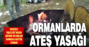 Denizli Valiliği kent genelinde ormanlarda ateş yakmayı yasakladı