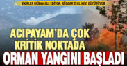 Acıpayam’ın dağlık Sandalcık mahallesinde orman yangını başladı