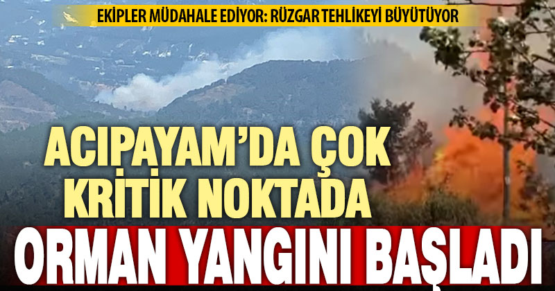 Acıpayam’ın dağlık Sandalcık mahallesinde orman yangını başladı