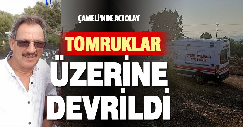 Çameli’nde üzerine tomruk devrilen şoför hayatını kaybetti