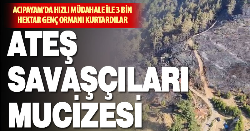 Acıpayam’da Ateş Savaşçıları Mucizesi: 3 Bin Hektar Orman Kurtarıldı
