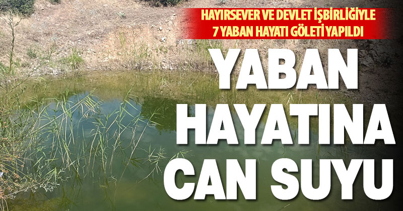 Buldan’da devlet hayırsever işbirliği ile yaban hayatı göletler yapılıyor