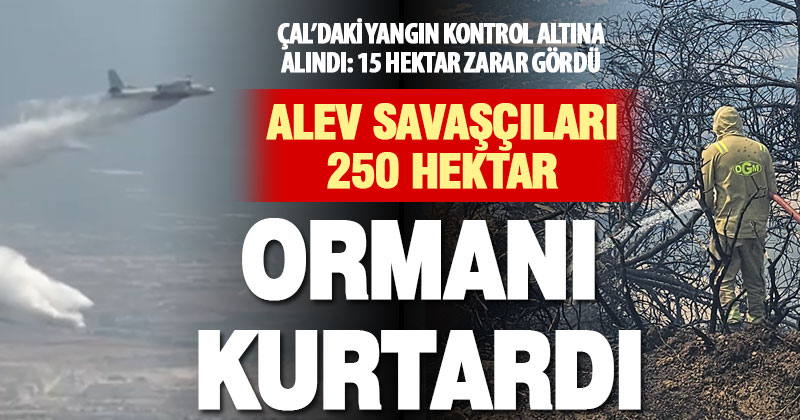 Çal’daki orman yangını kontrol altına alındı