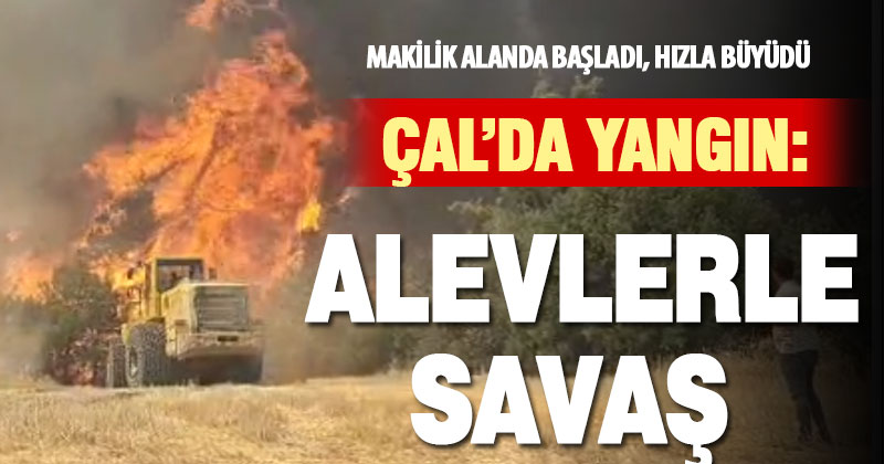 Çal’da makilik alanda başlayan yangın ormana sıçradı