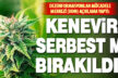 “Kenevir serbest bırakılıyor” iddialarına Dezenformasyonla Mücadele Merkezi’nden açıklama