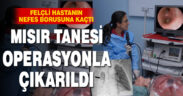 NEFES BORUSUNA MISIR TANESİ KAÇTI