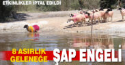 8 asırlık geleneğe şap engeli