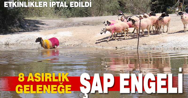 8 asırlık geleneğe şap engeli