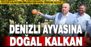 Denizli’de kalıntısız ayva için doğal uygulamalara geçildi