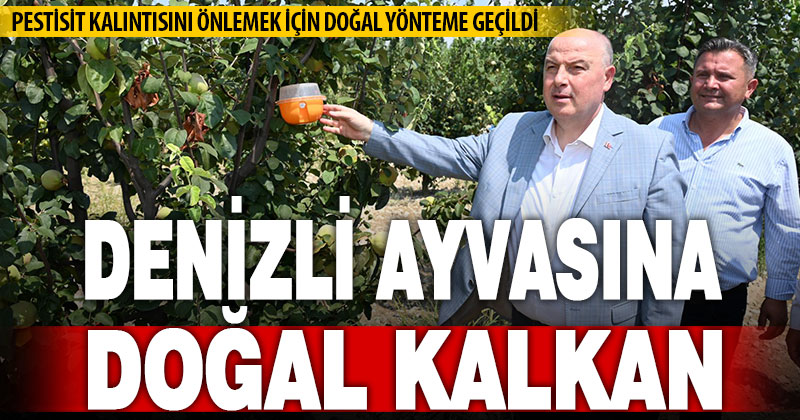 Denizli’de kalıntısız ayva için doğal uygulamalara geçildi