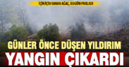 Acıpayam’da çıkan yangının sebebi belli oldu: Günler önce düşen yıldırım