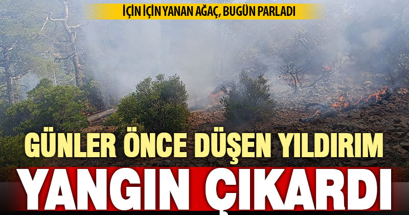 Acıpayam’da çıkan yangının sebebi belli oldu: Günler önce düşen yıldırım
