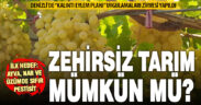 Denizli’de pestisit tehlikesine karşı dev zirve