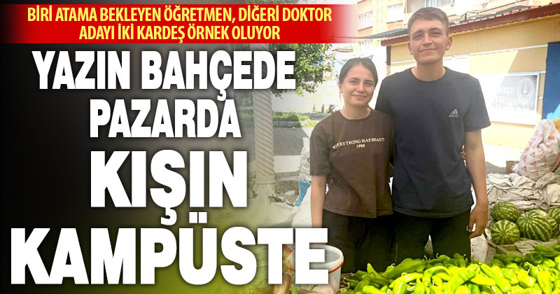 Öğretmen ve doktor adayı kardeşler hem okuyor, hem üretiyor, hem satıyor