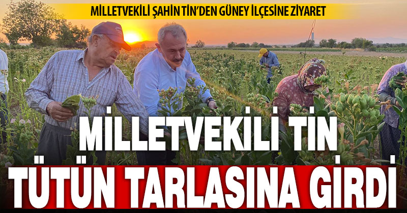 Milletvekili Şahin Tin’den Güney İlçesine ziyaret
