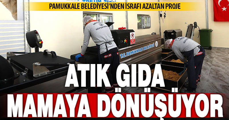 Pamukkale Belediyesi, atık gıdaları sahipsiz hayvanlar için mamaya dönüştürüyor