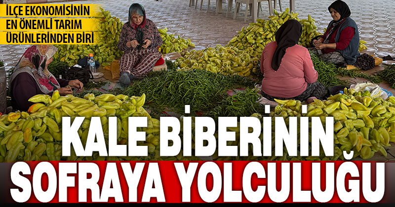 Tescilli lezzet Kale biberinin sofralara yolculuğu başladı