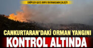 Cankurtaran’daki orman yangını ‘büyük ölçüde’ kontrol altına alındı
